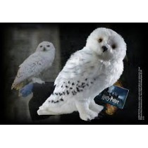 Harry Potter  Hedwig Plush