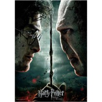 Harry Potter VS Voldermort...