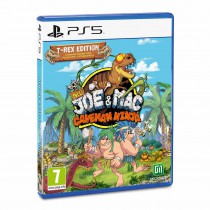 Joe & Mac Caveman Ninja...