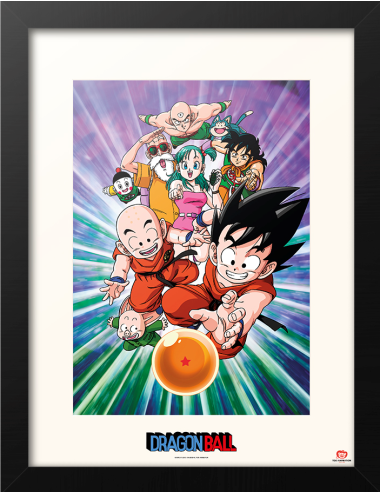 Dragon Ball  Collector...