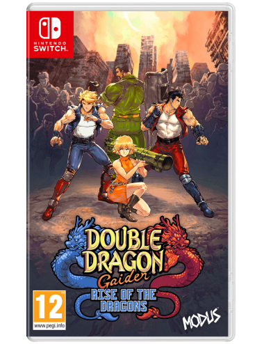 Double Dragon Gaiden Rise...