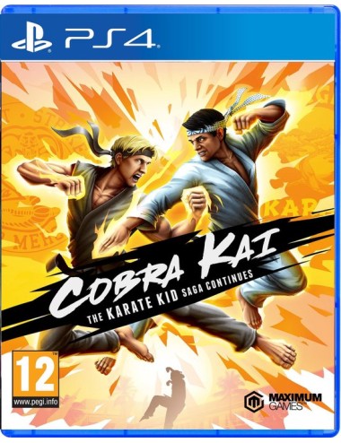 Cobra Kai The Karate Kid...