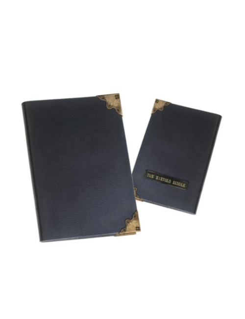 HARRY POTTER  Tom Riddle Diary