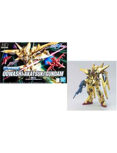 GUNDAM - HG Oowashi...